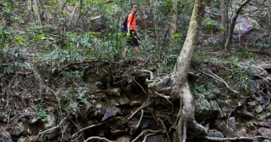 Hiking in Hong Kong: The Tai Tam West Catchwater