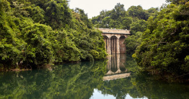 Hiking in Hong Kong: Exploring the waterways of Tai Tam