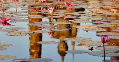 Sukhothai, the cradle of Thai civilisation