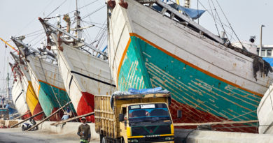 Traditional sailing ships of the Bugis Traditional sailing ships of the Bugis