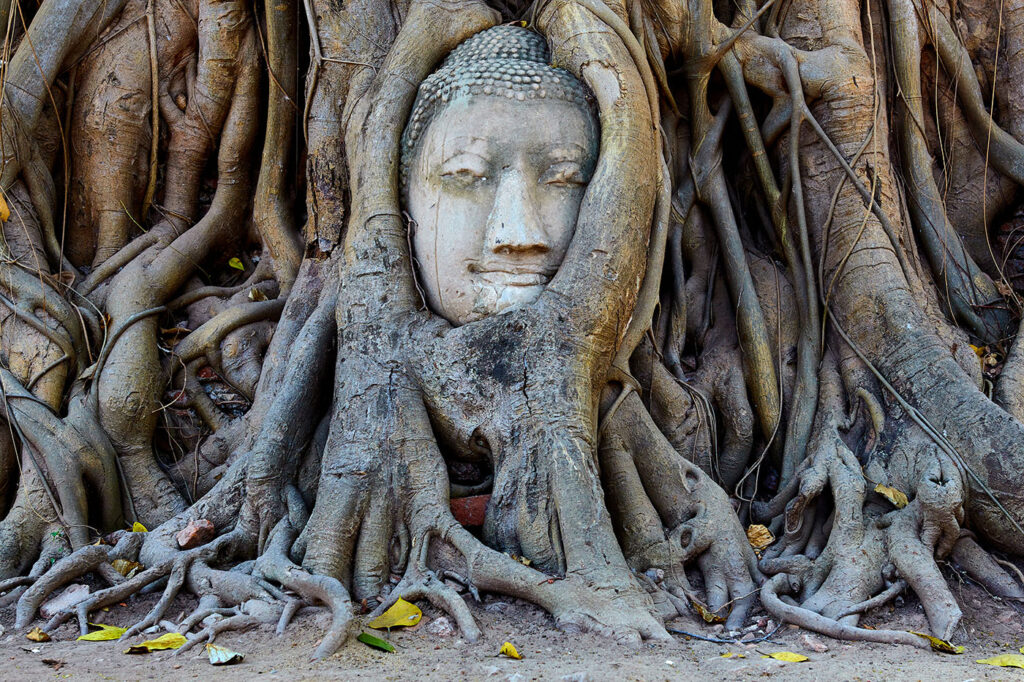 Ayutthaya, the ancient capital of Siam