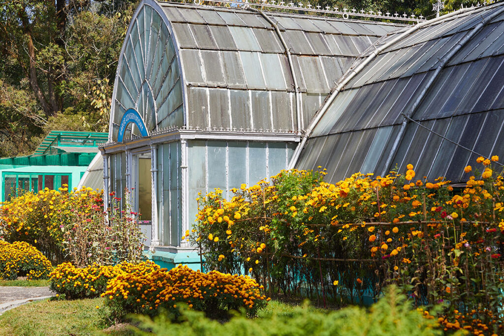 Lloyd’s Botanical Garden, Darjeeling Darjeeling queen of the hills