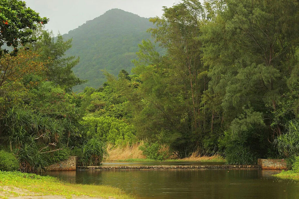 VietJet returns to Con Dao