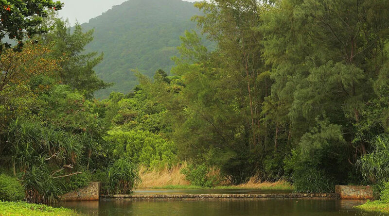 VietJet returns to Con Dao