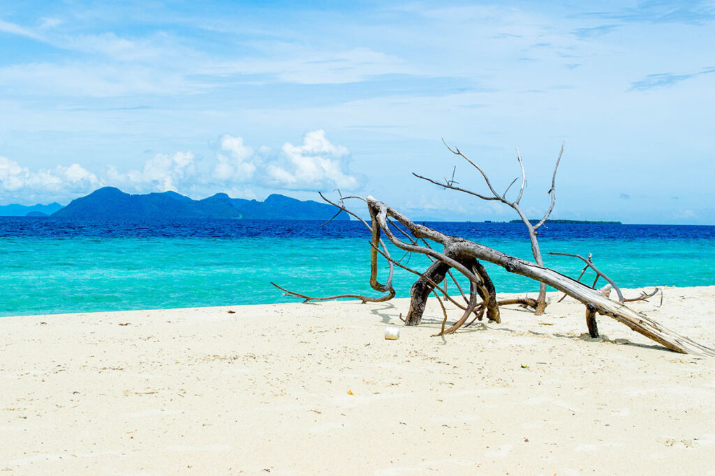 Two flights to Tawau