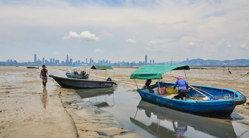 Lau Fau Shan: Oysters by the Bay